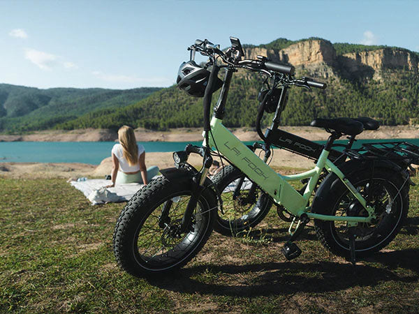 Laifook City fun Bici Elettrica