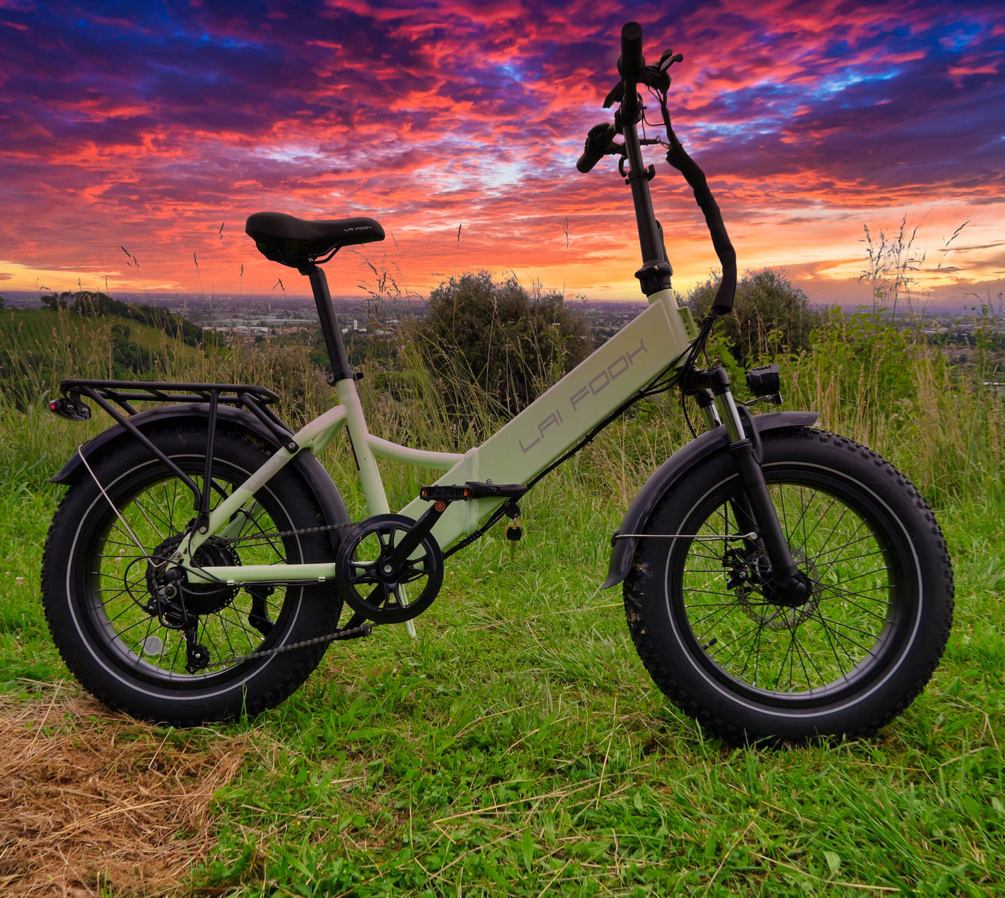 Cityfun S Foldable Fat Tire Ebike