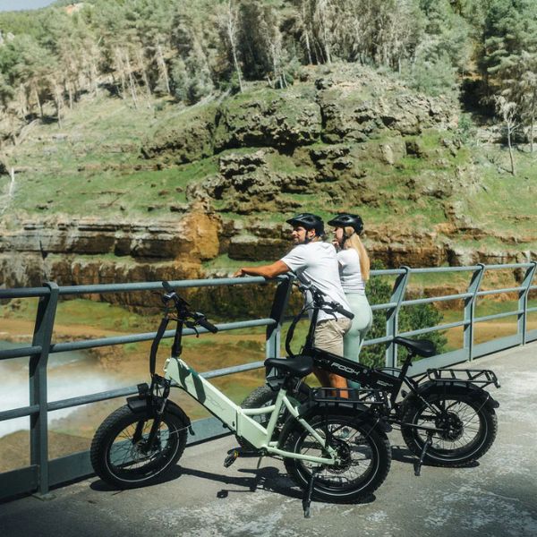 Cityfun S Foldable Fat Tire Ebike