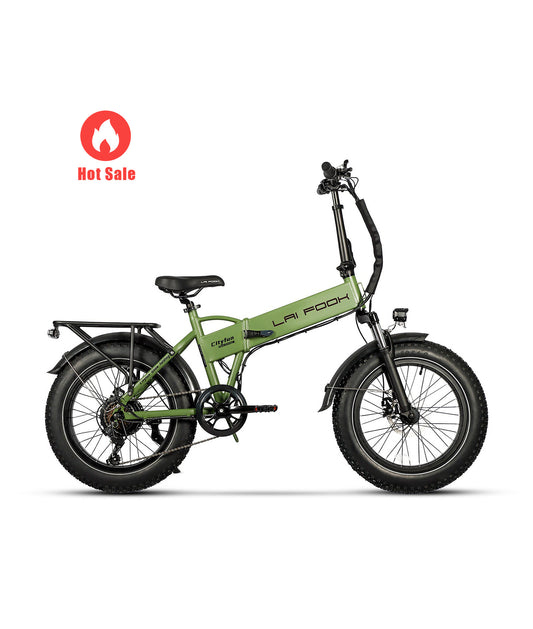 Cityfun Foldable Fat Tire Ebike